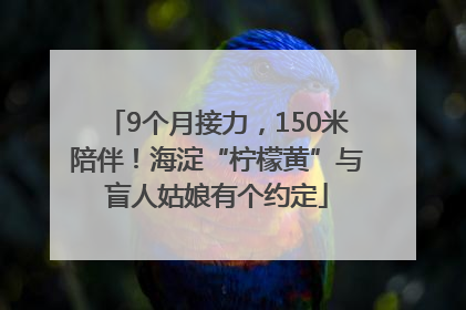 9个月接力，150米陪伴！海淀“柠檬黄”与盲人姑娘有个约定