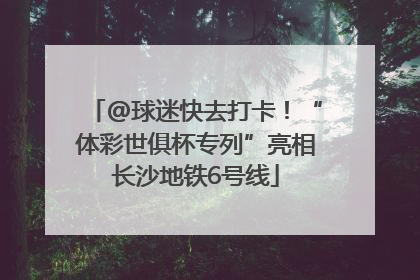 @球迷快去打卡！“体彩世俱杯专列”亮相长沙地铁6号线
