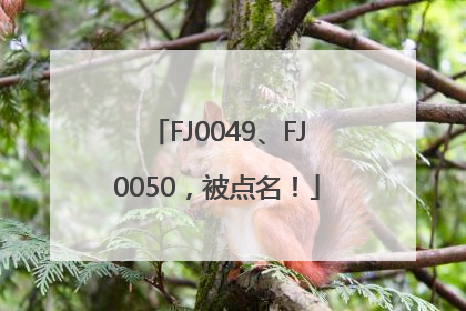 FJ0049、FJ0050，被点名！