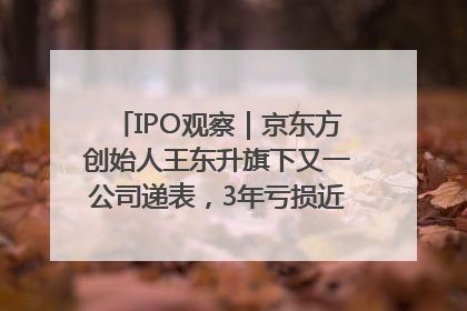 IPO观察｜京东方创始人王东升旗下又一公司递表，3年亏损近50亿元，近8成收入来自同一客户