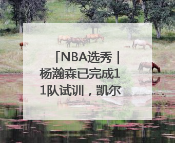 NBA选秀｜杨瀚森已完成11队试训，凯尔特人和太阳更适合他